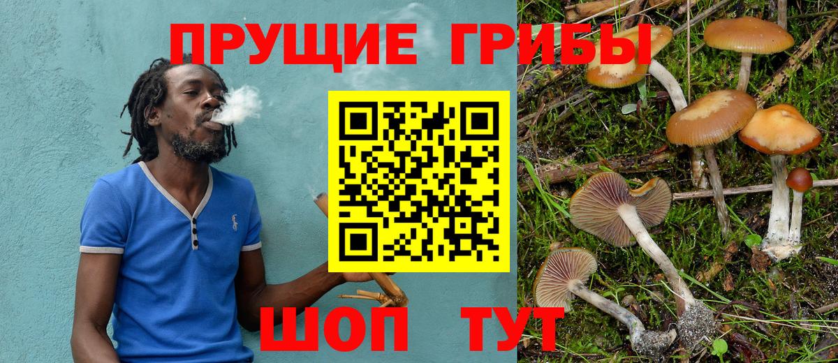 Галлюциногенные грибы Cubensis Киселёвск
