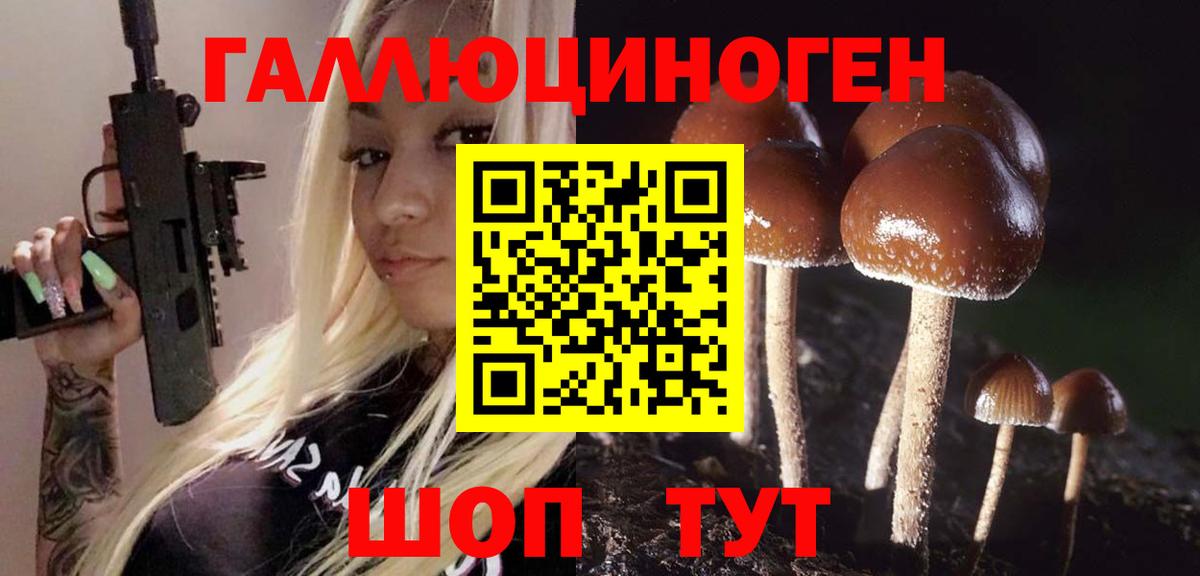 наркошоп  Вход с VPN  Галлюциногенные грибы ЛСД  Киселёвск  Псилоцибиновые грибы MAGIC MUSHROOMS 